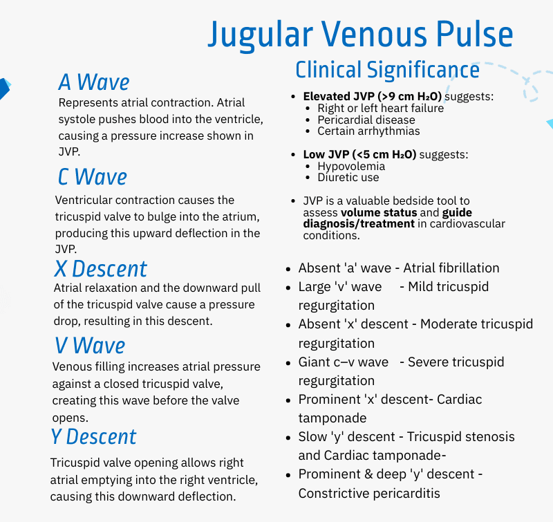 “Infographic showing normal jugular venous pressure (JVP) waveform with labeled a, c, and v waves, along with x and y descents. Highlights physiological events during the cardiac cycle including atrial contraction, tricuspid valve bulging, and venous filling. Educational illustration for understanding right atrial hemodynamics.”