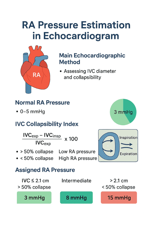 Educational infographic showing echocardiographic methods for estimating right atrial (RA) pressure, including IVC diameter and collapsibility index, Doppler assessment, and associated RA pressure values